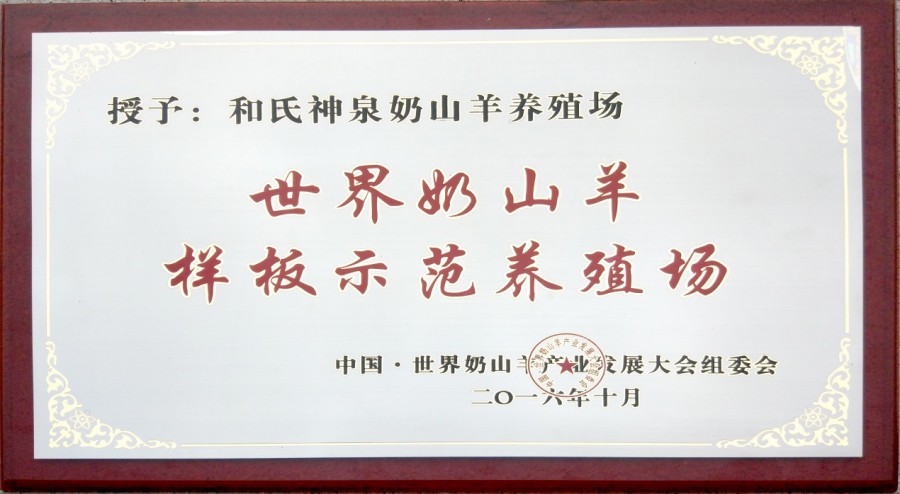 首页| w66集团中国最老牌官方网站