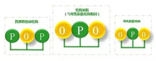 首页| w66集团中国最老牌官方网站