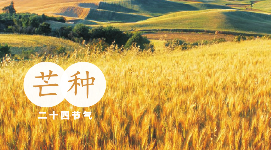 首页| w66集团中国最老牌官方网站