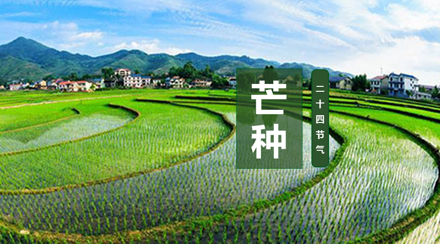 首页| w66集团中国最老牌官方网站