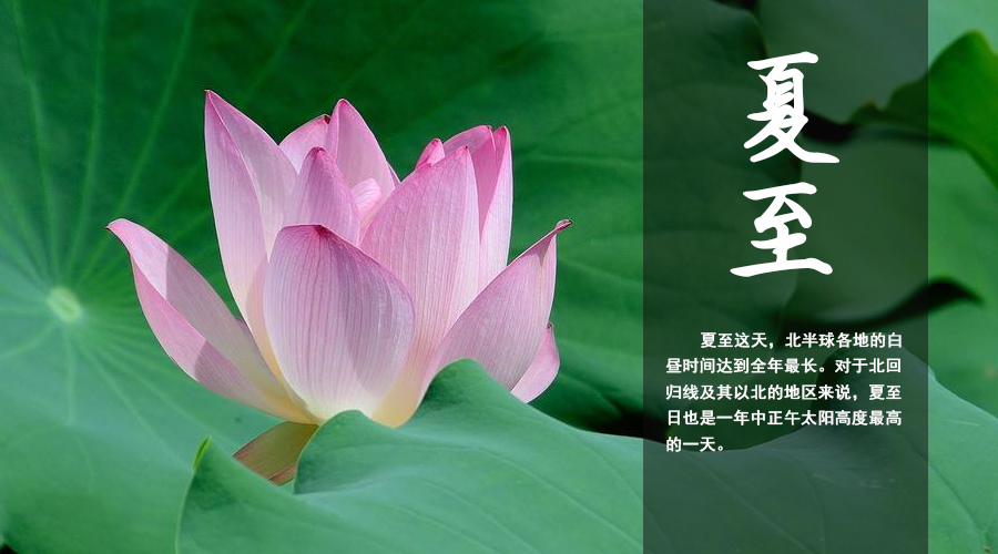 首页| w66集团中国最老牌官方网站