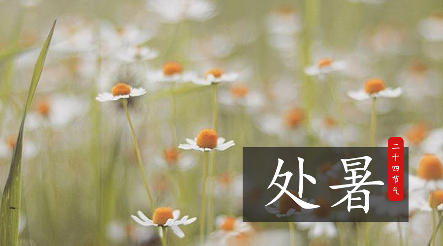 首页| w66集团中国最老牌官方网站