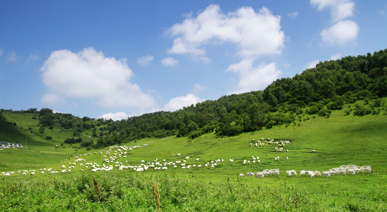 首页| w66集团中国最老牌官方网站