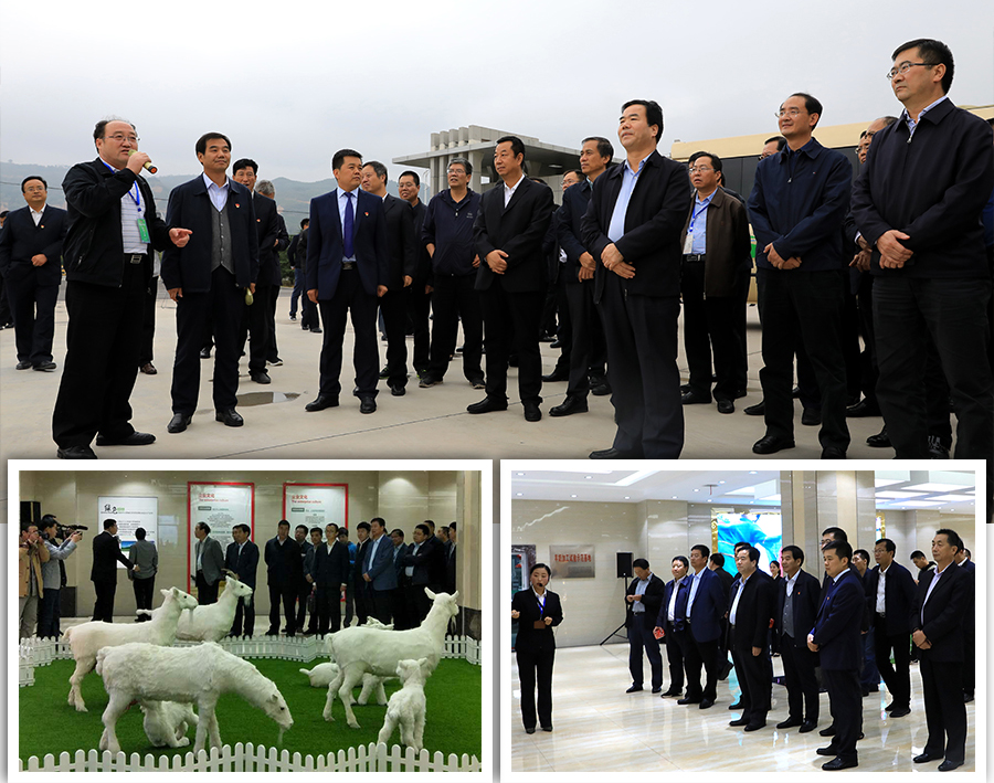 首页| w66集团中国最老牌官方网站