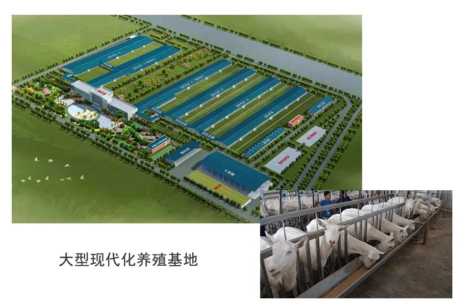 首页| w66集团中国最老牌官方网站