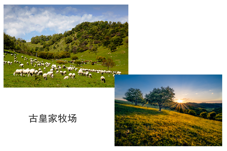 首页| w66集团中国最老牌官方网站