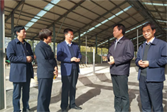 首页| w66集团中国最老牌官方网站