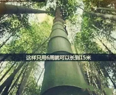 首页| w66集团中国最老牌官方网站