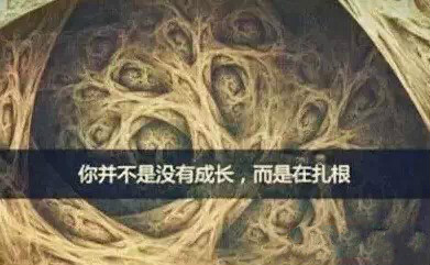 首页| w66集团中国最老牌官方网站