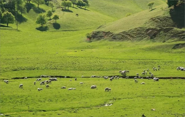 首页| w66集团中国最老牌官方网站