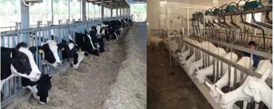 首页| w66集团中国最老牌官方网站